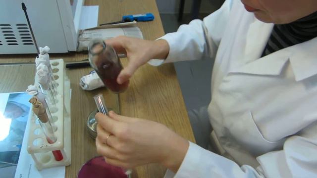 Enterobacterii Identificare смотреть онлайн