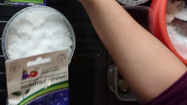 СТРАТИФИКАЦИЯ ДЕЛЬФИНИУМА - ДА ИЛИ НЕТ? СЕЕМ ЗЕМЛЯНИКУ. смотреть онлайн