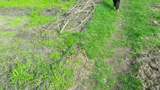 Славянск. 16 апреля 2023г. ХРИСТОС ВОСКРЕСЕ! С ПРАЗДНИКОМ ДРУЗЬЯ! смотреть онлайн