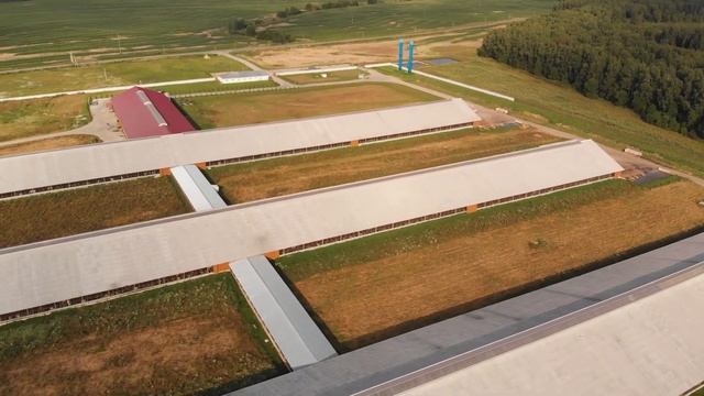 Эконива, Аристово, Калужская область, август 2020 г. смотреть онлайн