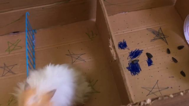 Полоса препятствий для хомяка Пипы смотреть онлайн