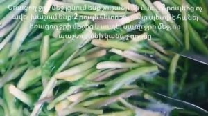 Շուշանի թթու։ Շուշանի թթվի պատրաստումը #как #мариновать #Шушан