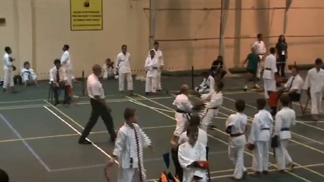 SWD Karate 2010.avi смотреть онлайн