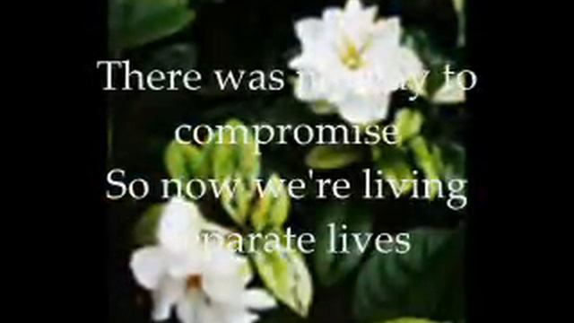 separate lives by stephen bishop acoustic version(rare copy) смотреть онлайн