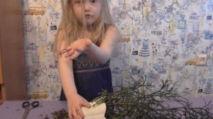 Хатиора - красивый неприхотливый суккулент. Уход, пересадка, размножение.