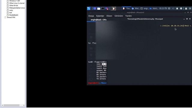 Spawn the target, gain a foothold and submit the contents of the user.txt flag. смотреть онлайн