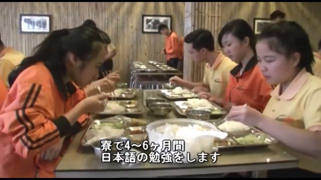 TechinicalTraineeProblemsOfVietnameseInJapan(Dr.yamamura junpei) смотреть онлайн