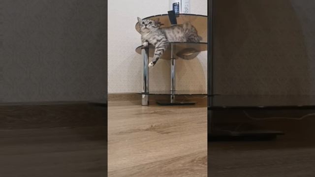 Сёма-Сёмочка-Семён !Pretty boy! смотреть онлайн