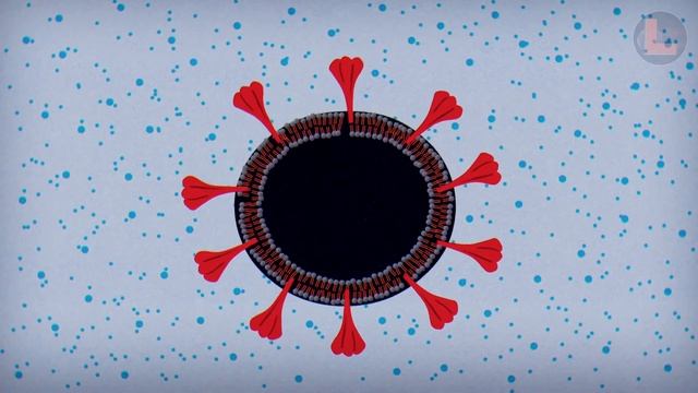 Мыло или антисептик для рук, что лучше? смотреть онлайн