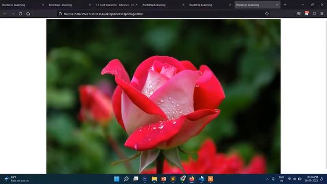 9. Image classes in Bootstrap | Responsive Image in Bootstrap | Bootstrap 5 Tutorial смотреть онлайн