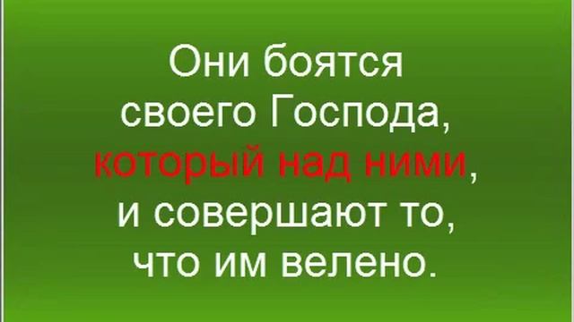 Ерсин против фитрата (естество людей) смотреть онлайн