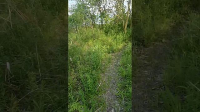 Гастроли в Цимлянск смотреть онлайн