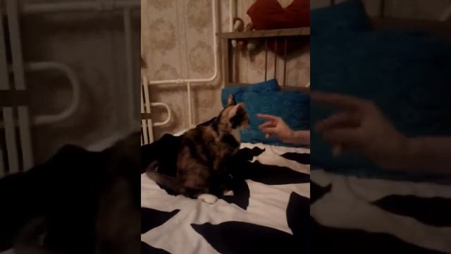 Маленький охотник смотреть онлайн
