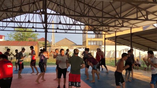 спорт лотос смотреть онлайн