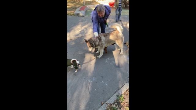 Они- киборги!