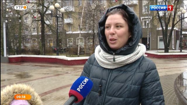 Опрос. Как белгородцы планируют провести Новый год? смотреть онлайн
