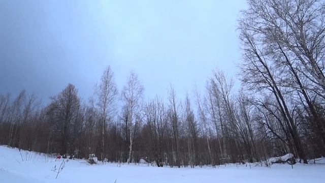 Рабочий манок на ворону (тест манка для друга) смотреть онлайн