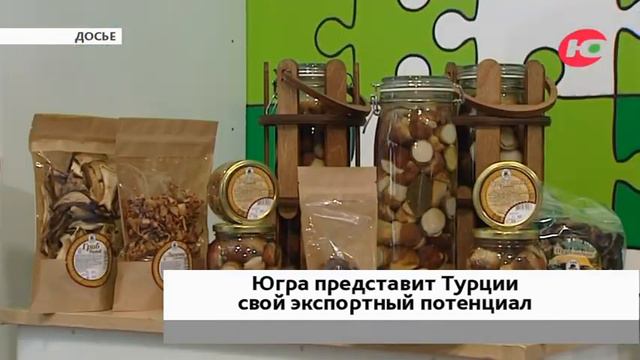 Югра планирует поставлять товары в Турцию смотреть онлайн