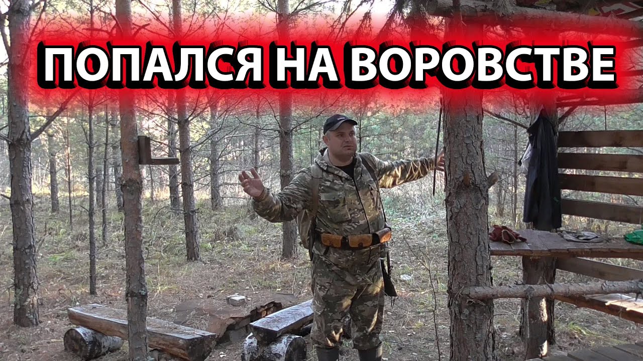 БЕСПРЕДЕЛ ! ТАКОГО Я НЕ ОЖИДАЛ В ЛЕСУ ОТ ЛЮДЕЙ....... смотреть онлайн