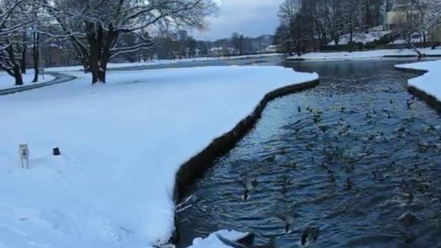 Slow motion 120 fps (Canon Powershot G15) смотреть онлайн