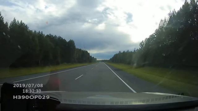 голубь врезался в машину смотреть онлайн