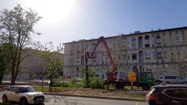 Уничтожение липовой аллеи на Ленинском проспекте в Москве. смотреть онлайн