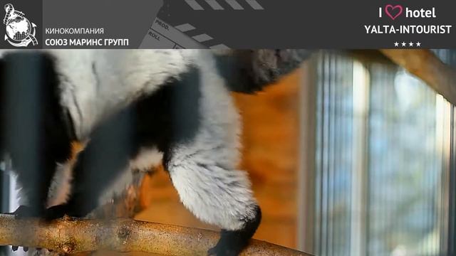 Почему гости сравнивают отель «Ялта-Интурист» с лучшими отелями Сингапура