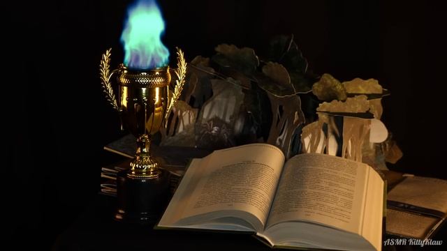 АСМР ??[Гарри Поттер и Кубок огня] [Глава 20-29] Чтение шепотом ? ASMR Whisper [Harry Potter]