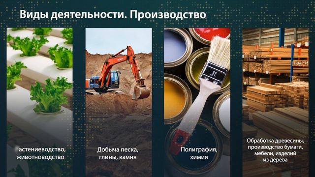 ТОСЭР Пикалёво смотреть онлайн