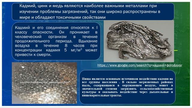 Сапарбекова А.А. - Фиторемедиация почв, загрязненных тяжелыми металлами смотреть онлайн