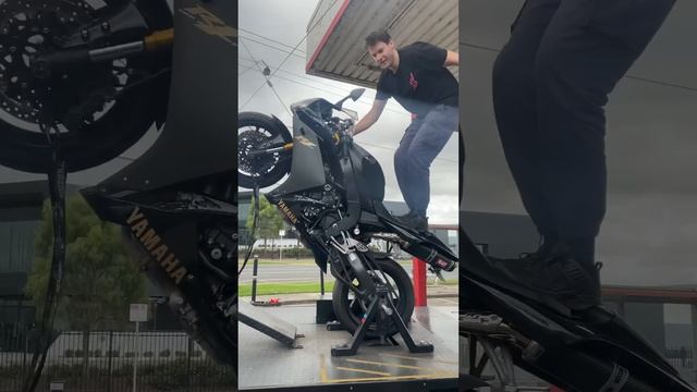 MINT YAMAHA R1 | LOUD YOSHIMURA | LIMITER BOUNCING mid-wheelie | WHEELIE MACHINE смотреть онлайн