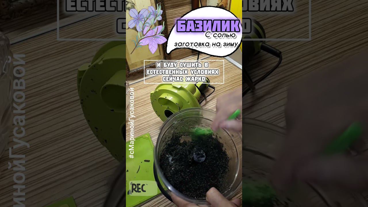 БАЗИЛИК с СОЛЬЮ - БАЗИЛИКОВЯ СОЛЬ Невероятный аромат. Соль с травами | с Мариной Гусаковой смотреть онлайн