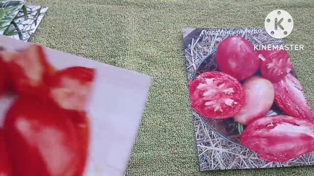 Лучшие Минусинские сорта томатов, проверенные Сибирью! смотреть онлайн