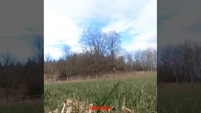 Tutorial, Lightning Flick, Rainbow, Sombrero смотреть онлайн