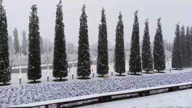 Прогулка в снегопад по парку Краснодар (парк Галицкого) смотреть онлайн