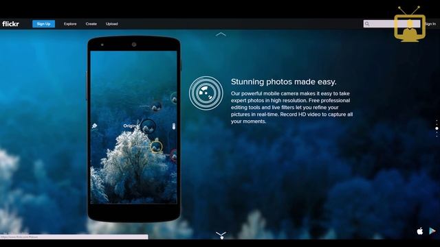 Лендинг Пейдж / Landing Page (Посадочная страница) Веб дизайн / VideoForMe - видео уроки смотреть онлайн