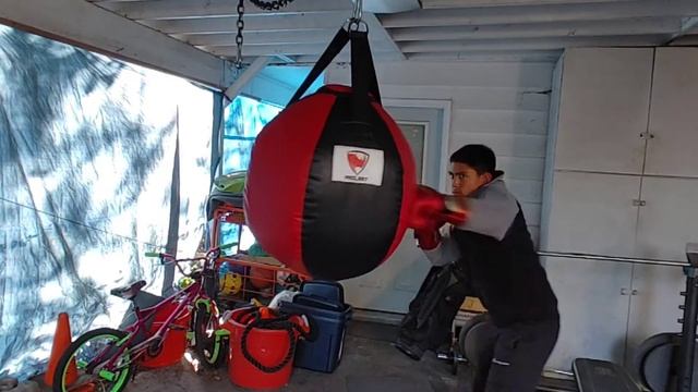 Adidas Adispeed 501 Boxing Gloves Review
