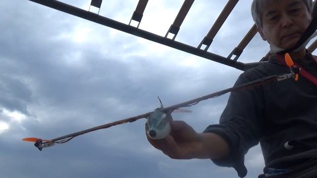 TinyBicopter dRehmFlight under99 82g (98g with Lipo): 3rd Flight Test смотреть онлайн