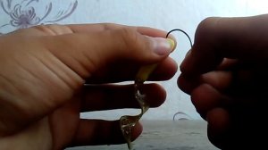 Как одеть твистер на офсетный крючок