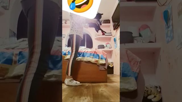 22 листопада 2023 р. смотреть онлайн