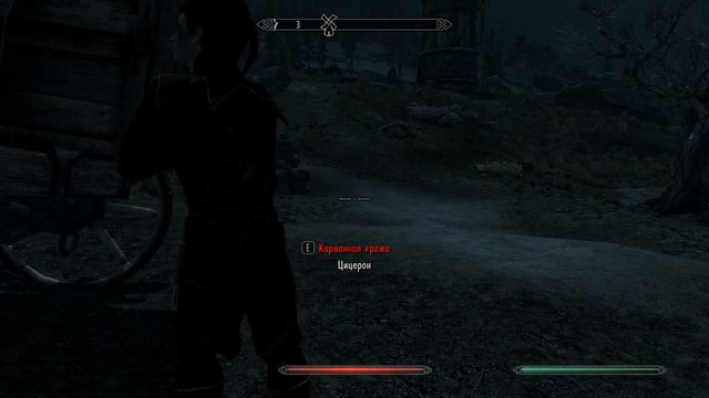 TES : SKYRIM  Встреча с Цицероном  5