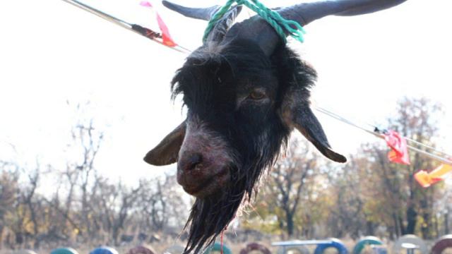 25 бат 1 рота, хроника смотреть онлайн