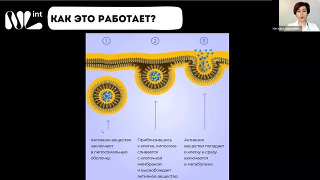 НОВИНКИ продукции NL Intyernational. Наталья Дорошенко смотреть онлайн