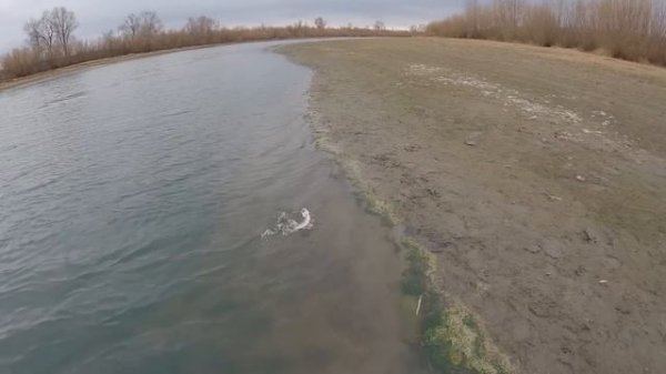 Спиннинг Crazy Fish Alpha 762LT - мягкий Лайтовый универсал / Опыт рыбалки