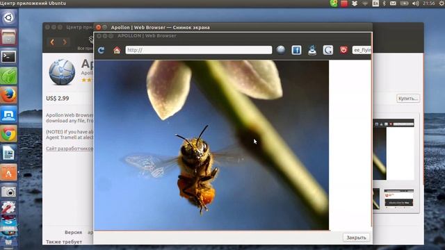 Браузеры для ubuntu смотреть онлайн