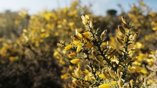 Ecosystem Services And Biodiversity - Science For Environment Policy