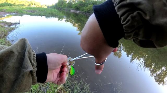 Ловля щуки и голавля на спиннинг в мае, рыбалка на спиннинг смотреть онлайн