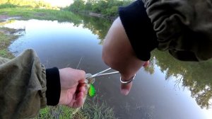 Ловля щуки и голавля на спиннинг в мае, рыбалка на спиннинг