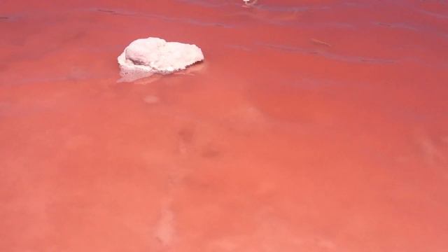 🔴 NO COMMENTS 🔴 Розовое озеро, Australia, WA Kalbarri смотреть онлайн