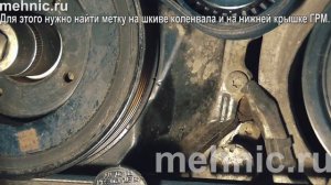 Когда менять цепь ГРМ Фольксваген (Шкода, Ауди, Сеат)